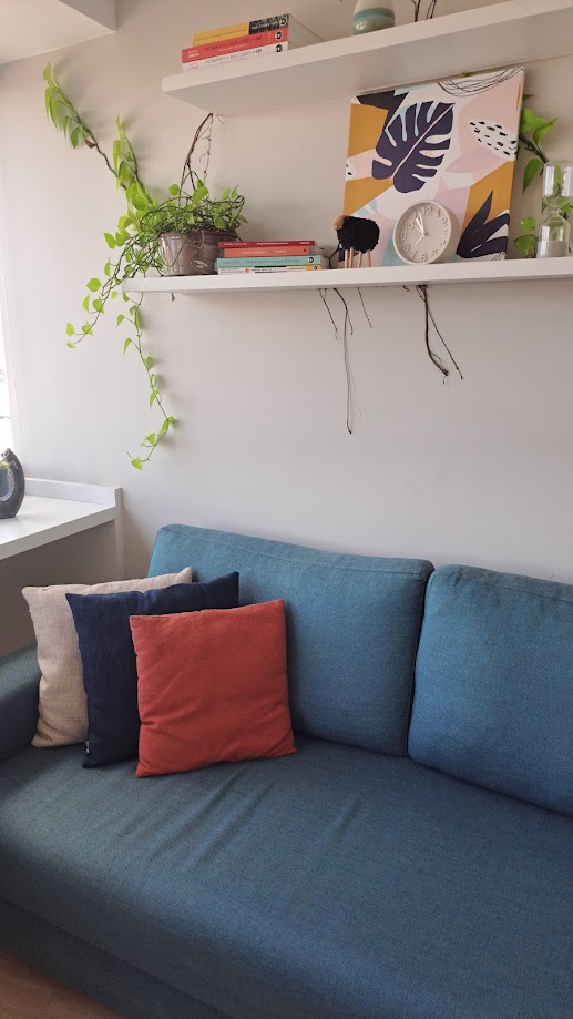 Sofá do consultório com almofadas e prateleira de livros e plantas